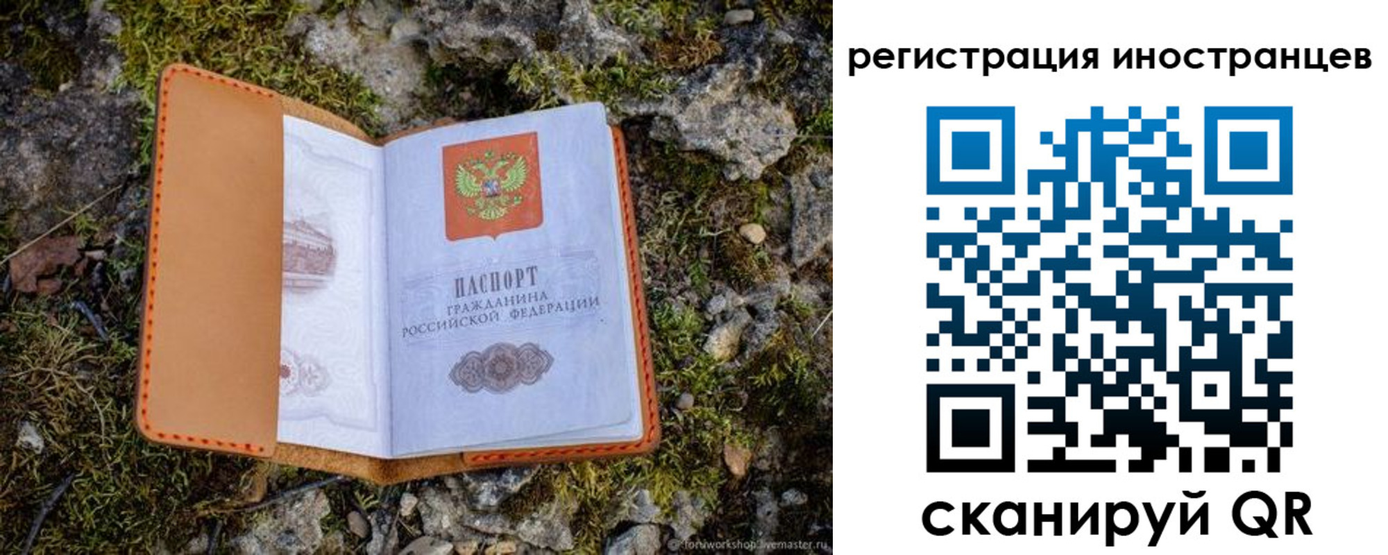 прописка паспорт в Ржеве